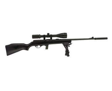 Carabine semi-automatique PALLAS M20 Calibre 22Lr + Pack...