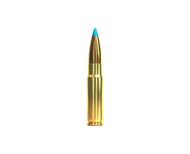 Munitions Sellier & Bellot Calibre 300 AAC BLACKOUT 110 Grs TXRG - Boite de 20