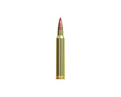Munitions Sellier & Bellot Calibre 300 WINCHESTER MAGNUM 180 Grs TXRG - Boite de 20