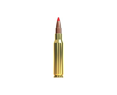 Munitions Sellier & Bellot Calibre 308 WINCHESTER 165 Grs TXRG - Boite de 20