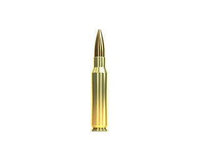 Munitions Sellier & Bellot Calibre 308 WINCHESTER 168 Grs HPBT - Boite de 20