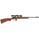Carabine ARMSCOR 22 LR M1400TM + Lunette 4x32 