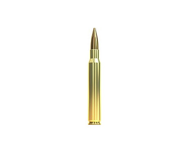 Munitions Sellier & Bellot Calibre 30-06 SPRINGFIELD 180 Grs FMJ - Boite de 50