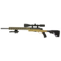 Carabine de tir HAENEL LR / ONE calibre 308 Winchester canon de 24' + Lunette  6-24X50  Air Force...