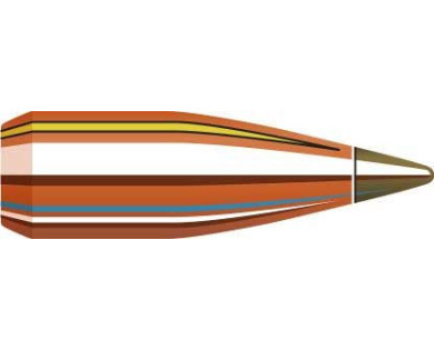Boite de 100 ogives HORNADY Calibre 20 Diam.204 24 Grs NTX