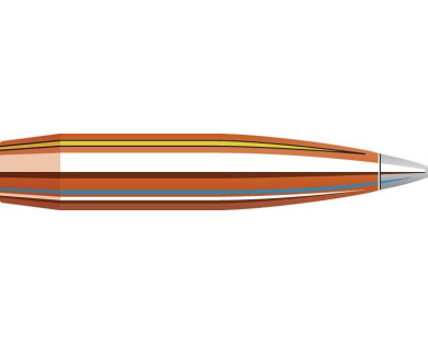 Boite de 100 ogives HORNADY Calibre 22 Diam.224 90 Grs...