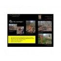 Angulateur de tir Picaillon 