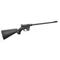 Carabine Semi-Automatique Henry Survival Calibre 22 LR