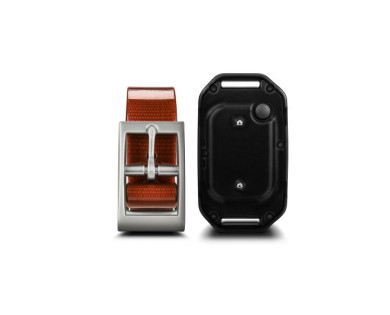 Collier supplémentaire GARMIN PT 10 pour GARMIN Pro 70 PRO 500 PRO SPORT
