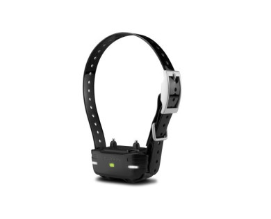 Pack dressage canin GARMIN Pro 70