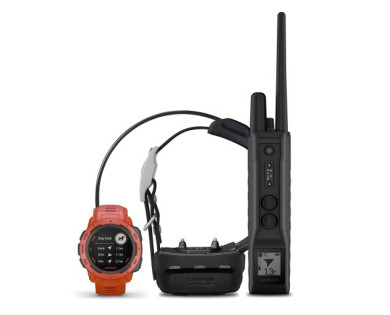 Garmin Pro 550 Plus avec collier de suivi et de dressage TT 15F Mini