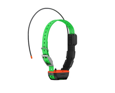 Collier de repérage et de dressage GARMIN TT25 F