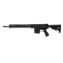 Carabine Windham Weaponry AR10 308 Win ***OCCASION***