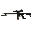 Carabine Semi automatique Sig Sauer M400 223 Rem ***OCCASION***