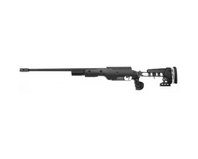 Carabine de précision SIG SAUER SSG3000 Super Target Calibre 308Win