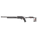 Carabine RUGER 10/22 carbone grey birch calibre 22LR canon 16,1'' 10 coups