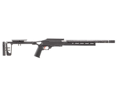 Carabine RUGER 10/22 carbone grey birch calibre 22LR canon 16,1'' 10 coups gaucher