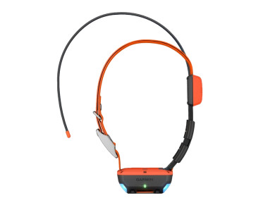 Pack GPS GARMIN centrale Alpha 200F Plus avec collier T20F