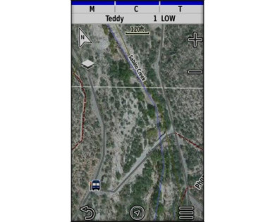 Pack GPS GARMIN centrale Alpha 200F Plus avec collier T20F