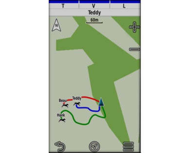 Pack GPS GARMIN Alpha 200F Plus avec collier TT25F