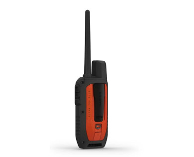 Pack GPS GARMIN Alpha 200F Plus avec collier TT25F
