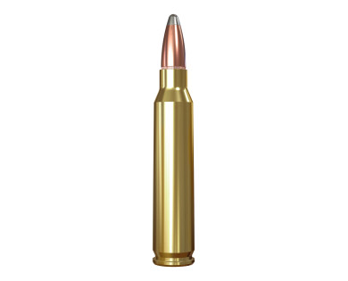 Carton de 200 Munitions Winchester 30-06 ou 300Win Mag Power-Point - 180 Grains