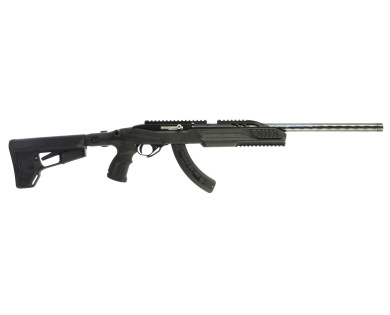 Carabine semi-automatique Ruger 10-22 22 LR ***OCCASION***