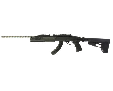 Carabine semi-automatique Ruger 10-22 22 LR ***OCCASION***
