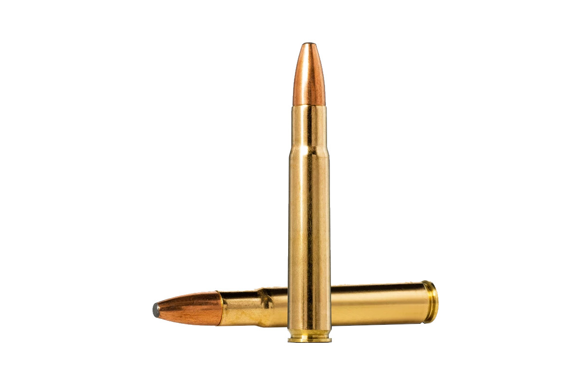 Munitions calibre 35 Whelen Norma Oryx