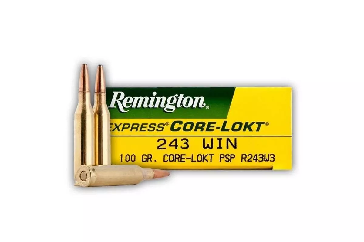 Munitions Remington 243 PSP 100 Grains 