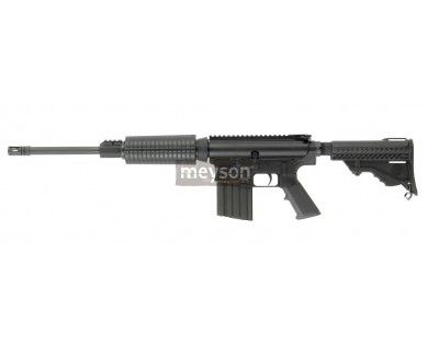 FUSIL D'ASSAUT DPMS PANTHER 308 ORACLE 