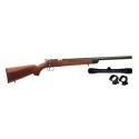 Jw15 Carabine 22 LR Custom Silence + Lunette 3-9x40 