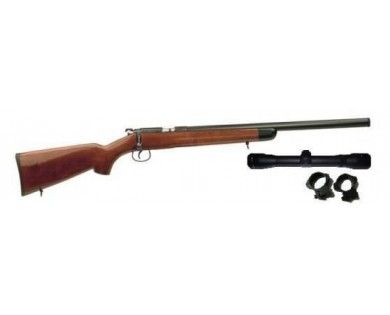 Jw15 Carabine 22 LR Custom Silence + Lunette 3-9x40 