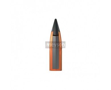 Munitions Winchester Extreme Point 243 Win 95 grs 