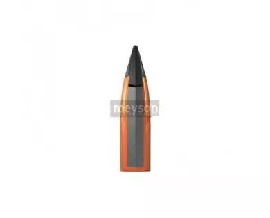 Munitions Winchester Extreme Point 243 Win 95 grs 