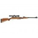 Carabine Diana 460 Magnum 4.5mm + Lunette 3-9X40 - 27 joules 