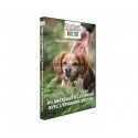 DVD Seasons - Du dressage à la chasse avec l'épagneul breton 