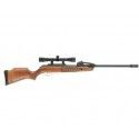 Carabine Gamo Fast Shot 10x IGT bois à répétition 10 coups calibre 4.5 mm 19,9 Joules + lunette 4x32 