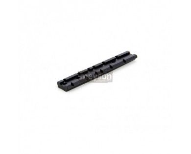 Rail Recknagel pour express Verney Carron 