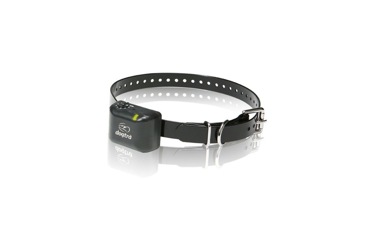 Collier Dogtra Anti-aboiement YS 300 petit chien Collier Dogtra Anti-aboiement YS 300 petit chien