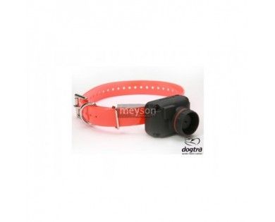Collier Beeper Dogtra STB Beep H-H 