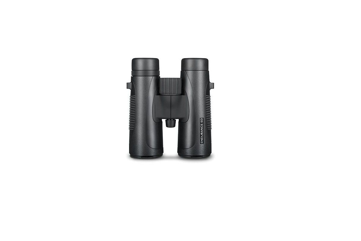 Jumelles ENDURANCE 8X42 Hawke
