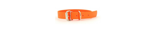 Colliers pour Chiens