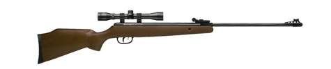Carabines à plomb REMINGTON