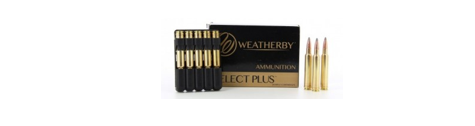 Munitions de chasse calibre 300 Weatherby Magnum