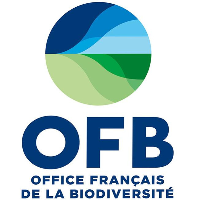 Comment obtenir son permis de chasser en France (guide débutant)